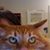 Mylen Blair's profile image
