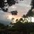 Janet Purdom Mattson's profile image