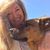 Elizabeth Weiland's profile image