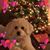 Judy Jackson's profile image