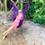 Claudia D-l's profile image