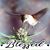 Tammy Moquet's profile image
