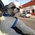 LeTisha Kasper's profile image