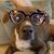 Kristy Cotthaus's profile image