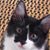 Becky Bilokur-Tobias's profile image