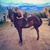 Valencia Werner's profile image
