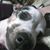 AnnMarie Lynn's profile image