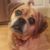 Samia Rebennack's profile image