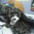 Mindy Brown's profile image