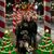 Alicia Bogema-Dowling's profile image