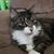 Bobbie Eicholtz's profile image