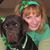 Kristi Nolde-Morrissey's profile image