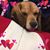 Myra Noonkester's profile image