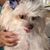 Kay Rura Moleski's profile image