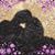Lori Gardner-Oliver's profile image