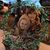 Lisa Burkett Smith's profile image