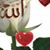 Mohammad Fahim's profile image