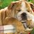 George John's profile image