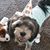 Susie Gutierrez's profile image
