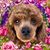 Lorraine Zittell's profile image