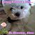 Karen Maykuth Coberly's profile image