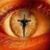 Borda Eric's profile image