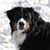 John Baricevich's profile image
