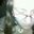 Jessica Stephenson's profile image