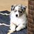 Jeannie Goodner Long's profile image