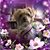 Elia Flinkfelt's profile image