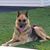 Karen Peters's profile image