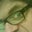 Kevin Carlson's profile image