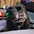 Debey Babineau's profile image