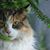 Cuquita Verkist's profile image