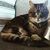 Becki Haines Peterson's profile image
