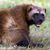 Devon Stewart's profile image
