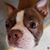 Alicia Martone Hannan's profile image
