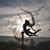 Julie Knowlton-Kolacz's profile image