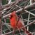 Judith Enyeart Hill's profile image