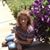 Jayme Thornton's profile image