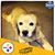 Mary Saylor's profile image