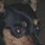 Margaret Hill's profile image