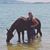 Jessica Van Dyke's profile image