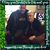Rick Stoddard's profile image