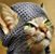 Holly Monroe's profile image