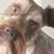 Brenda Moore's profile image