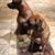 Tracy Gallenstein's profile image