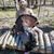 Mat Belschner's profile image