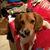 Angie Balota-Dorsey's profile image