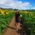 Sydnie Matda's profile image